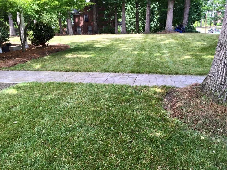 Top-rated yard cleanup service in Thomasville, NC - Bradley Nations and Son Property Services