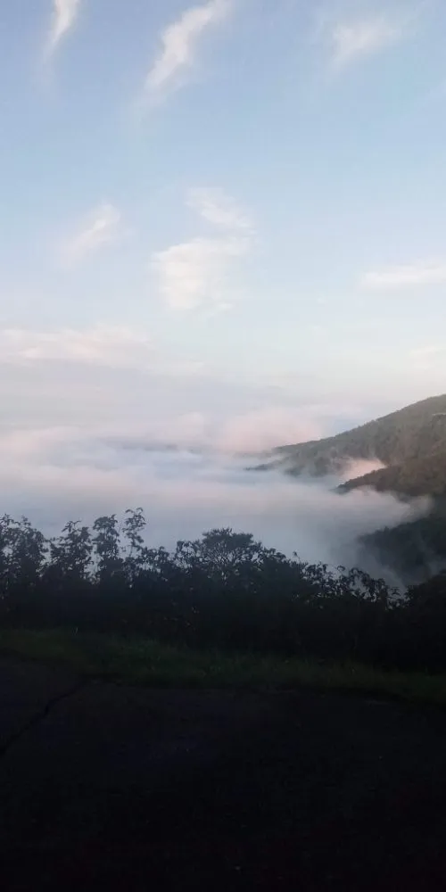 Professional landscape installation experts serving Pigeon Forge, TN - Bradley services