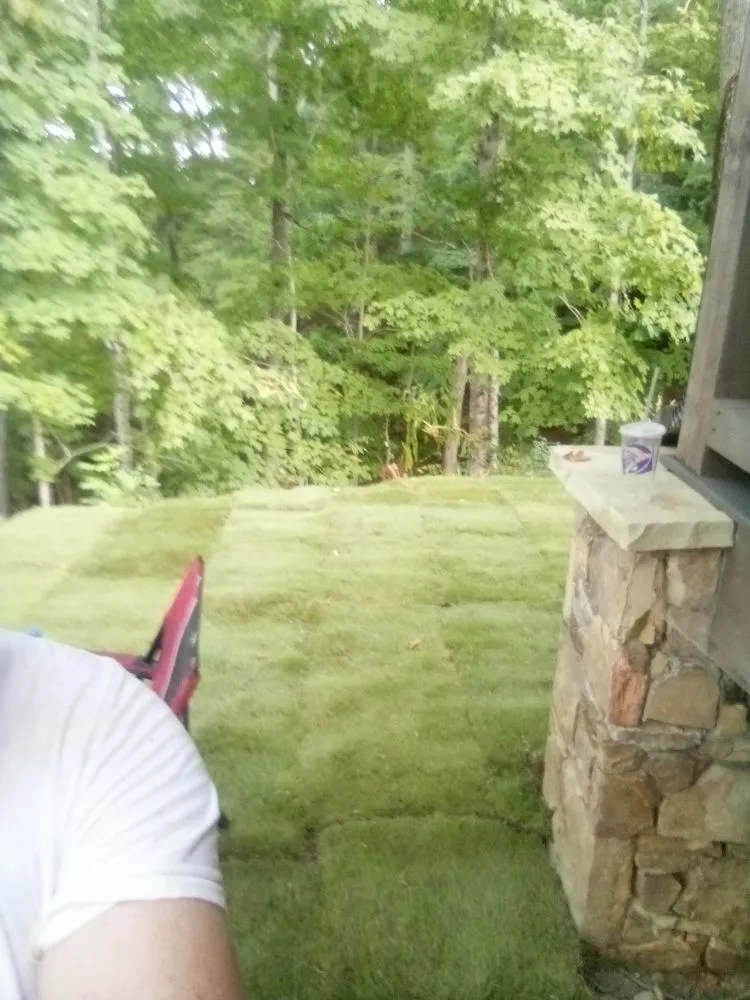 Custom landscape design experts serving Pigeon Forge, TN - Bradley services