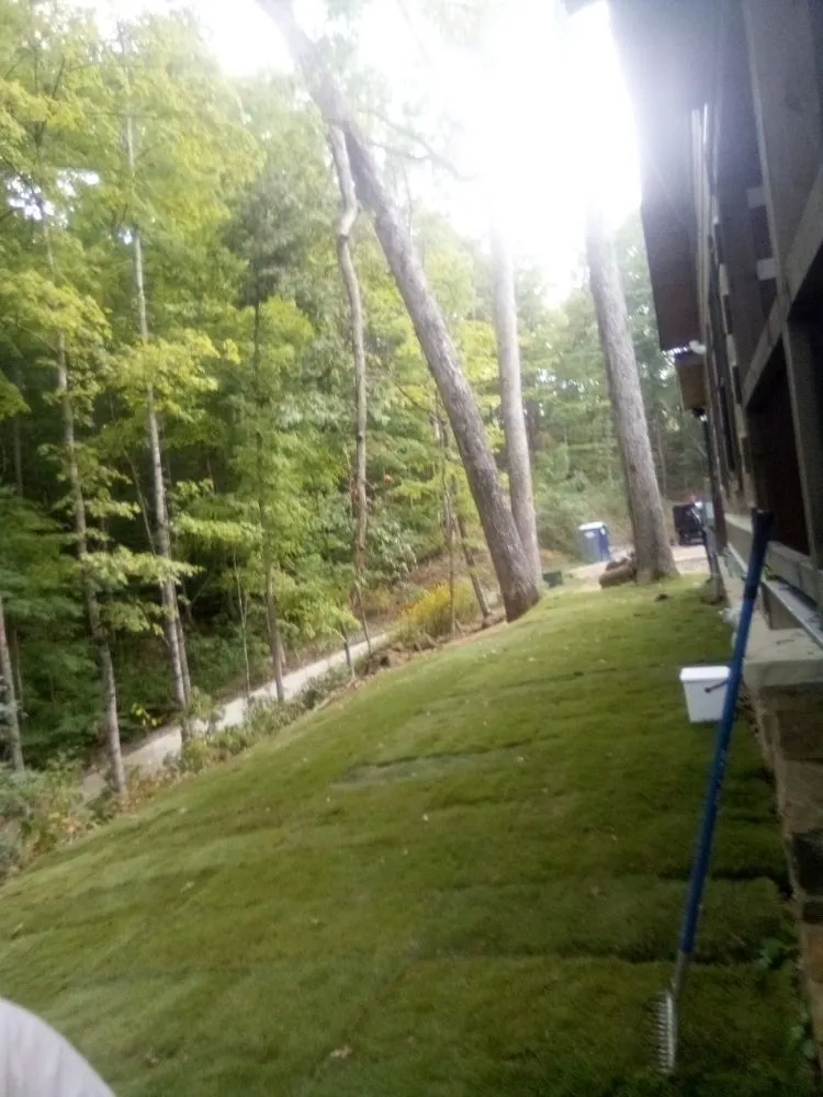 Professional landscape installation for homes in Pigeon Forge, TN by Bradley services
