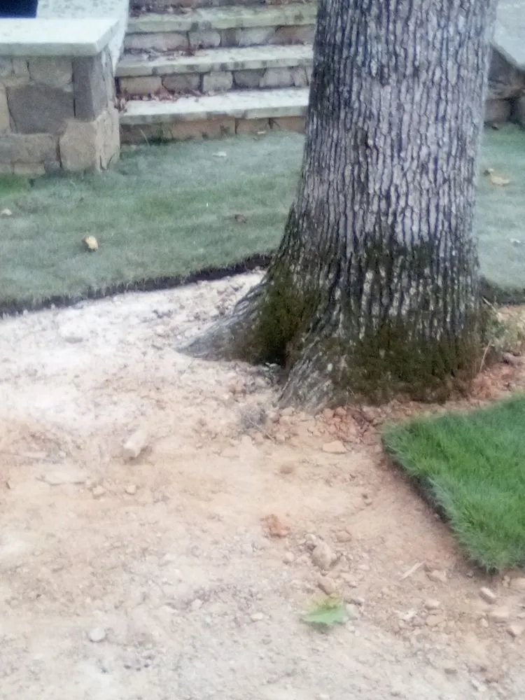 Top-rated yard maintenance experts serving Pigeon Forge, TN - Bradley services