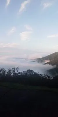 Bradley services Logo