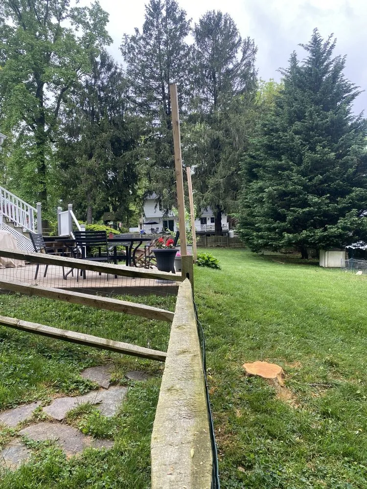 Expert lawn mowing service experts serving Broomall, PA - Bradley Tree Experts