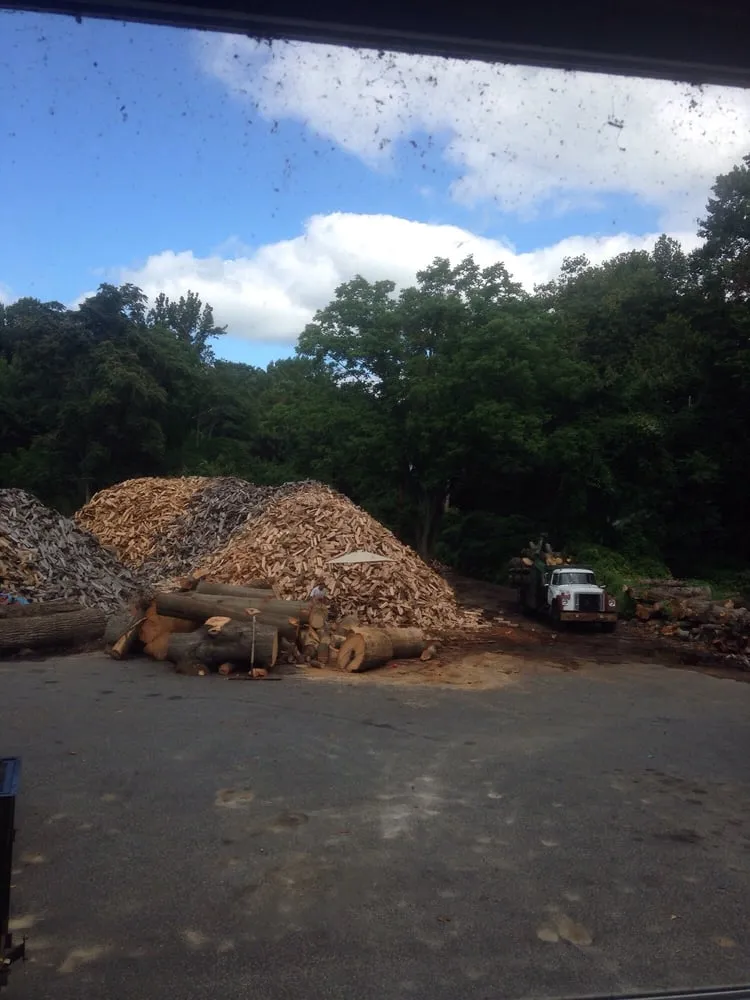 Custom lawn care service for homes across Broomall, PA - Bradley Tree Experts