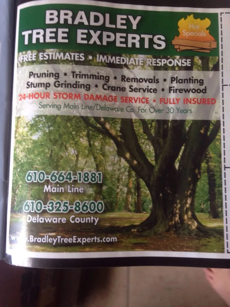 Reliable lawn care service in Broomall, PA by Bradley Tree Experts