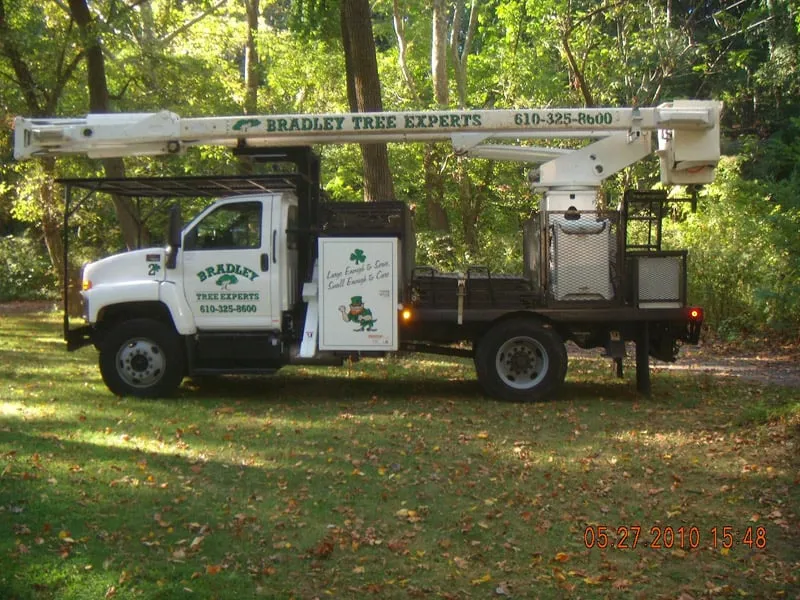 Professional landscape installation experts serving Broomall, PA - Bradley Tree Experts