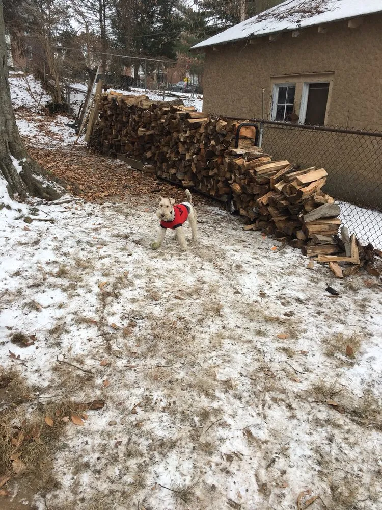 Professional residential landscaping experts serving Broomall, PA - Bradley Tree Experts