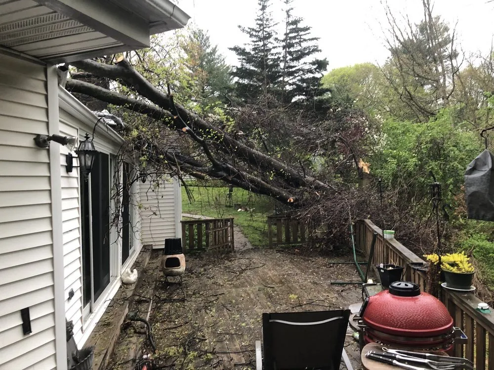 Affordable landscape installation for residential properties in Broomall, PA by Bradley Tree Experts