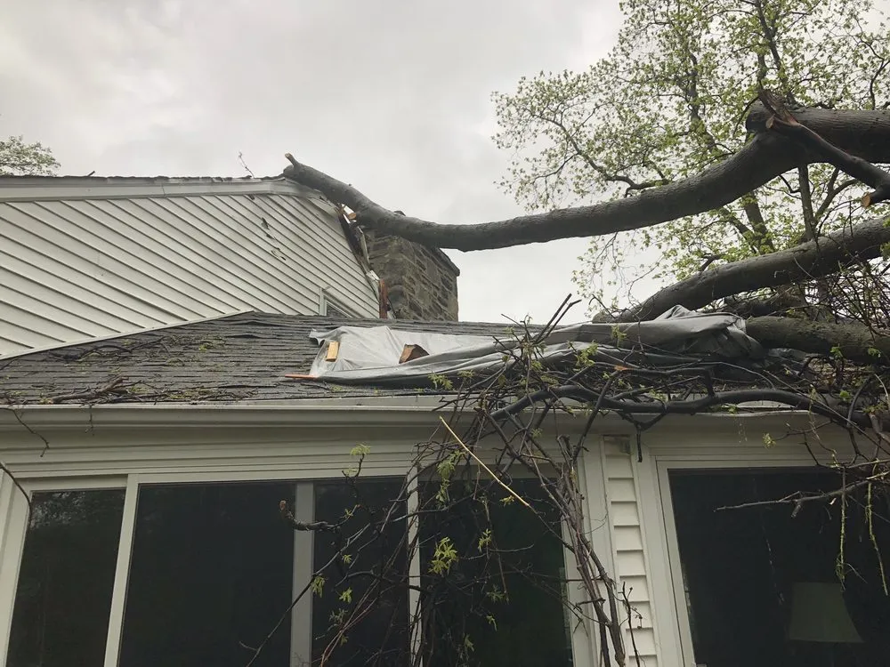 Top-rated residential landscaping with custom design across Broomall, PA - Bradley Tree Experts