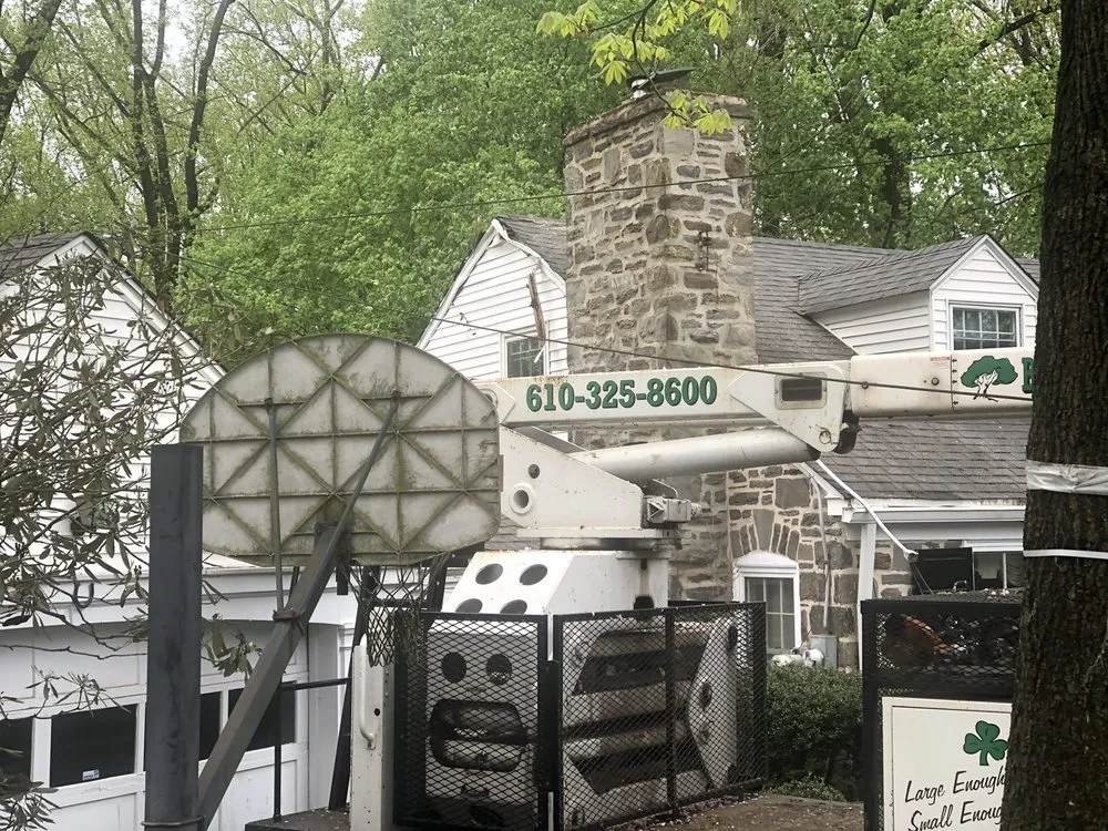 Affordable yard cleanup service in Broomall, PA by Bradley Tree Experts