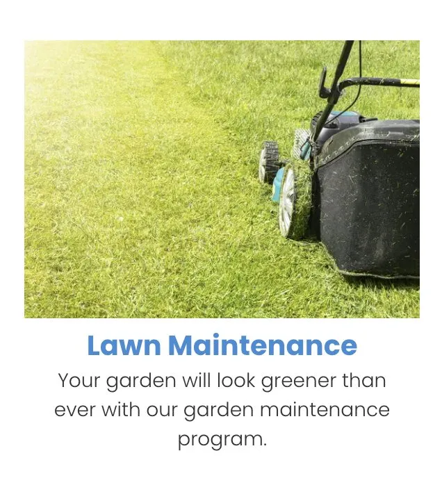 Professional landscape installation in Durand, MI - Bradley's Lawn Busters