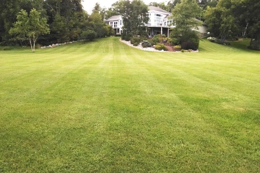 Affordable yard cleanup service in Pelican Rapids, MN - Bradrick Home & Lawn Care