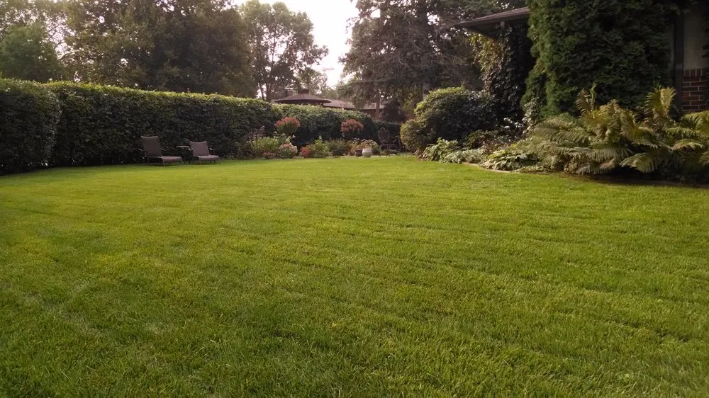Custom lawn mowing service for residential properties across Pelican Rapids, MN - Bradrick Home & Lawn Care
