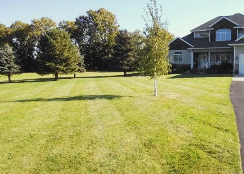 Professional landscaping services in Pelican Rapids, MN - Bradrick Home & Lawn Care