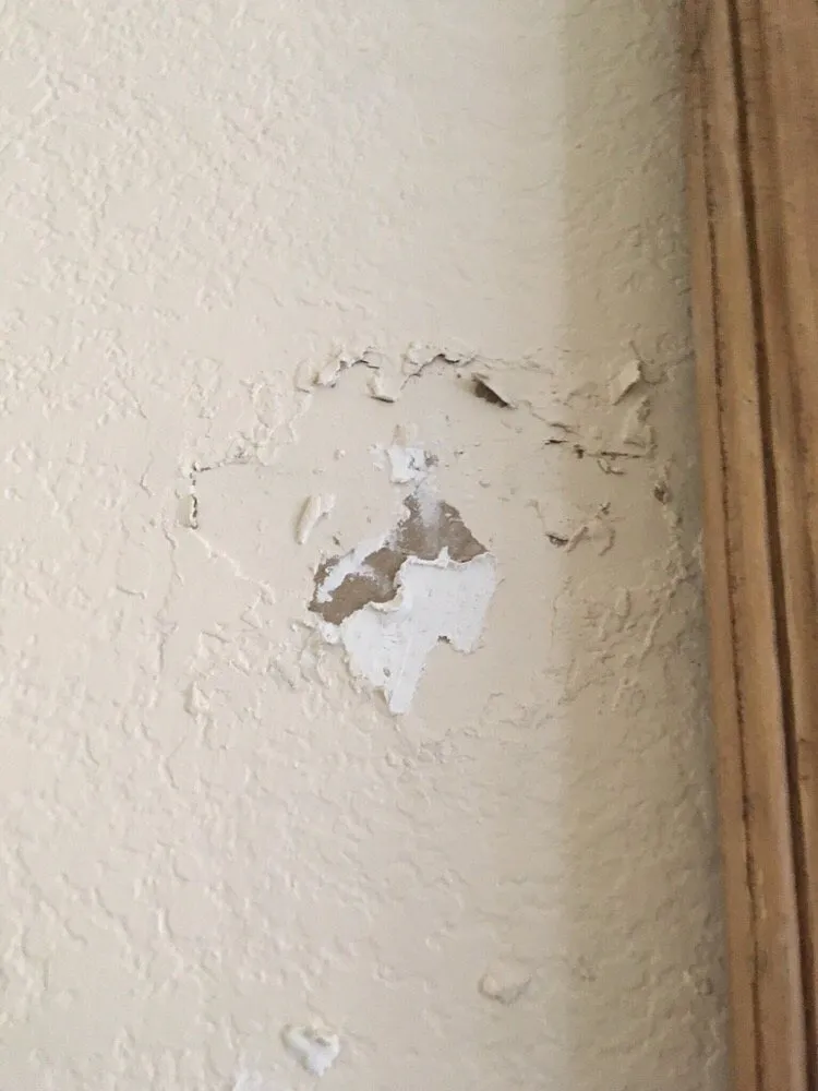 Reliable landscape design for outdoor upgrades across Hemet, CA - Brad's Affordable Landscaping