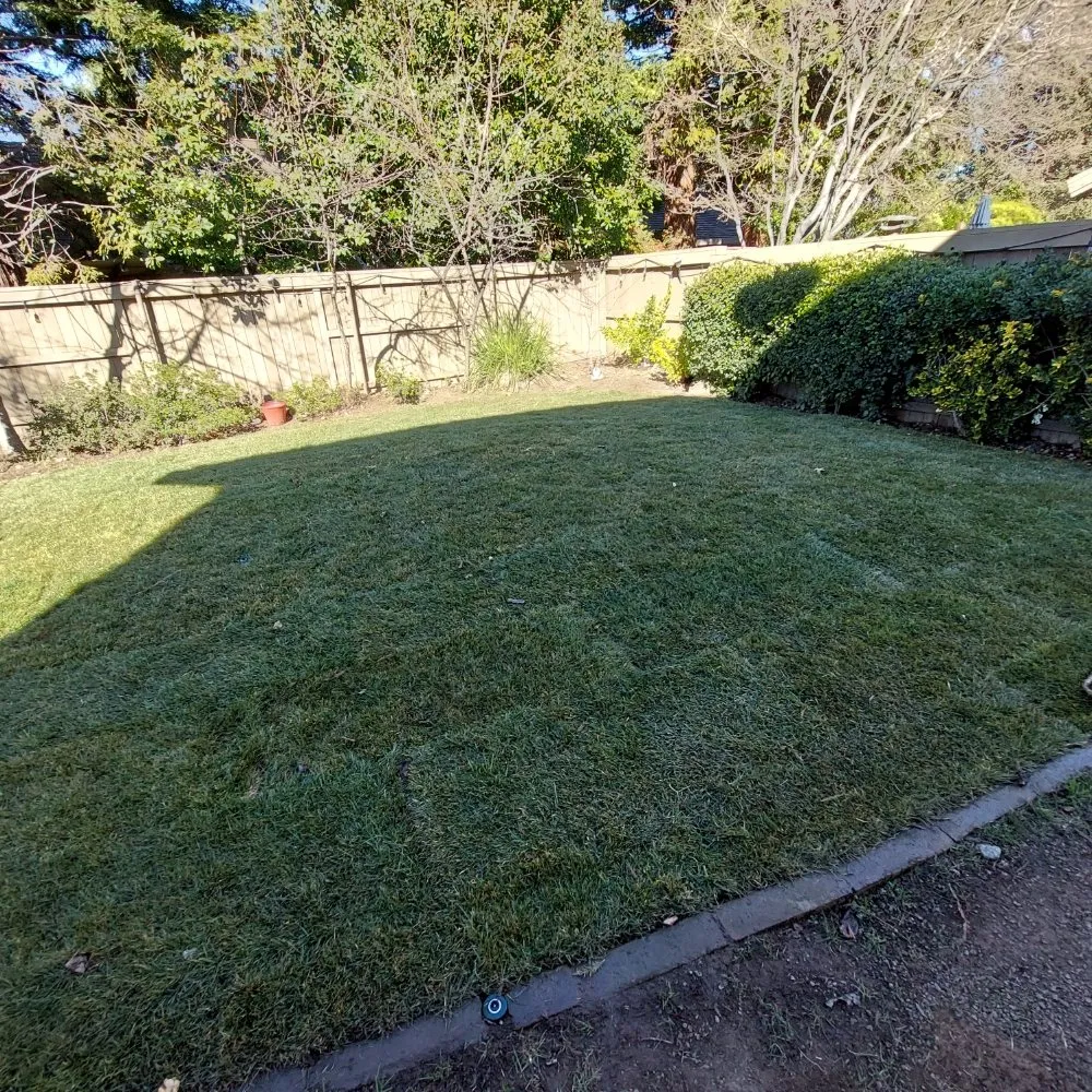 Custom landscape installation for residential properties across Fair Oaks, CA - Brads Landscaping & Irrigation