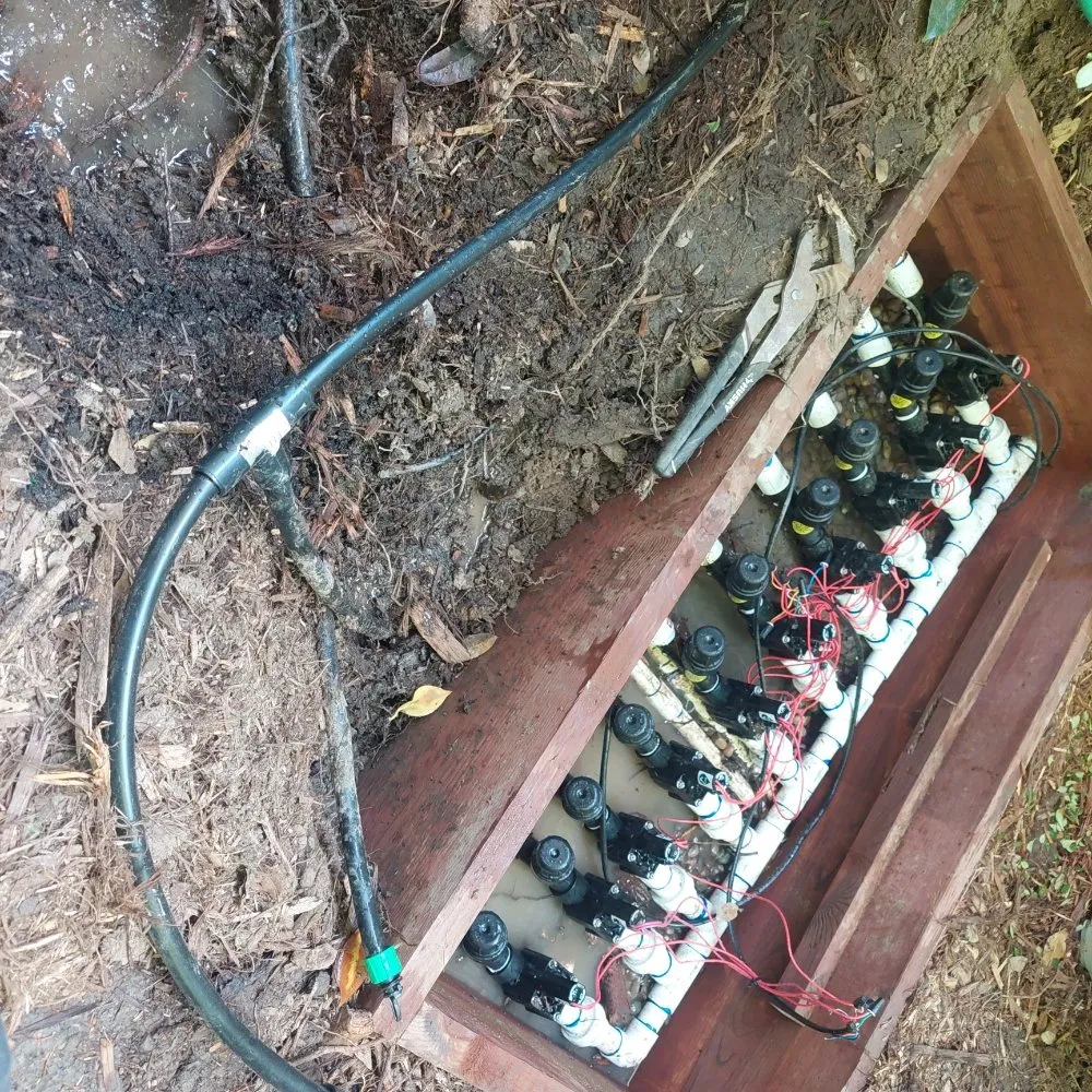 Top-rated lawn care service in Fair Oaks, CA - Brads Landscaping & Irrigation