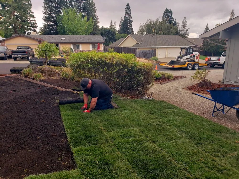 Reliable lawn care service for year-round maintenance across Fair Oaks, CA - Brads Landscaping & Irrigation