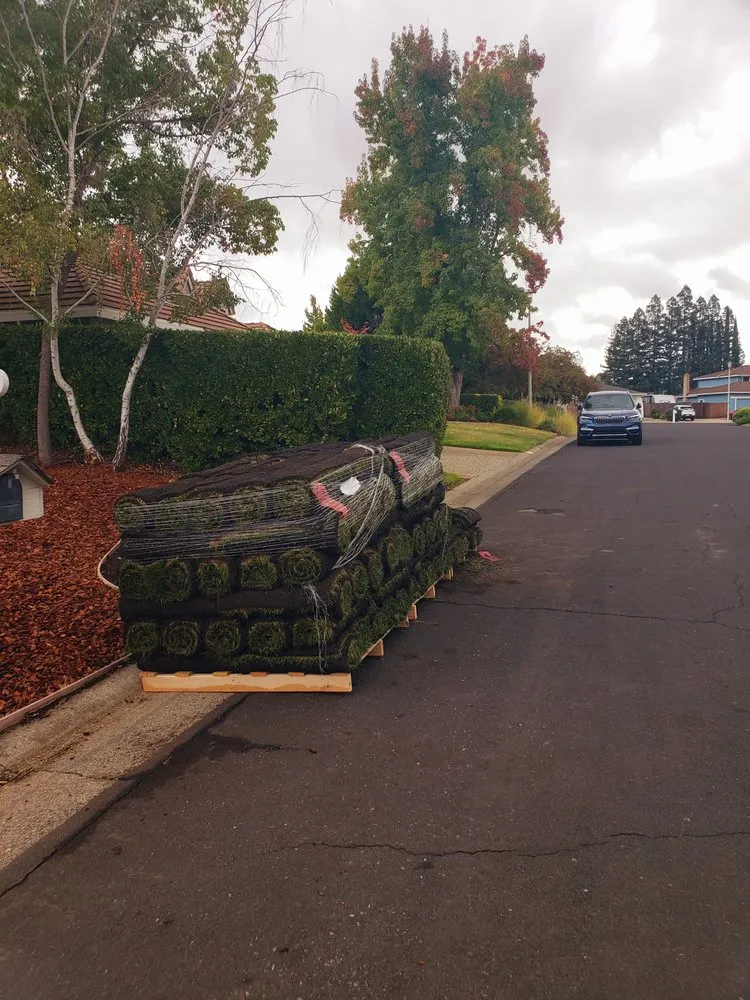 Affordable residential landscaping in Fair Oaks, CA - Brads Landscaping & Irrigation