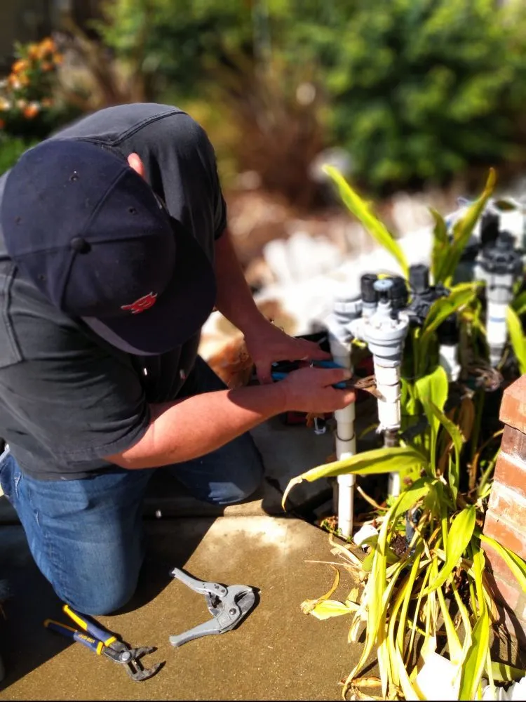 Top-rated landscape design for year-round maintenance in Fair Oaks, CA by Brads Landscaping & Irrigation