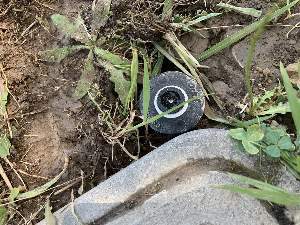 Top-rated lawn mowing service experts serving Fair Oaks, CA - Brads Landscaping & Irrigation