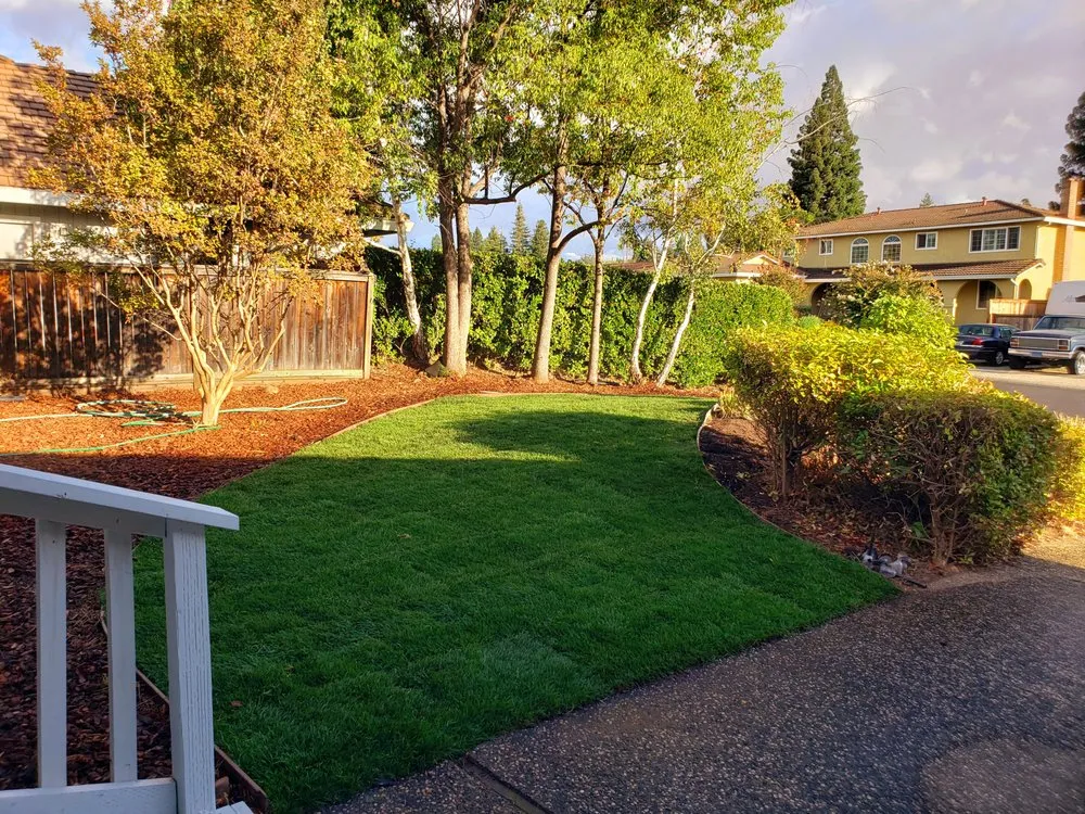 Affordable yard cleanup service for residential properties across Fair Oaks, CA - Brads Landscaping & Irrigation