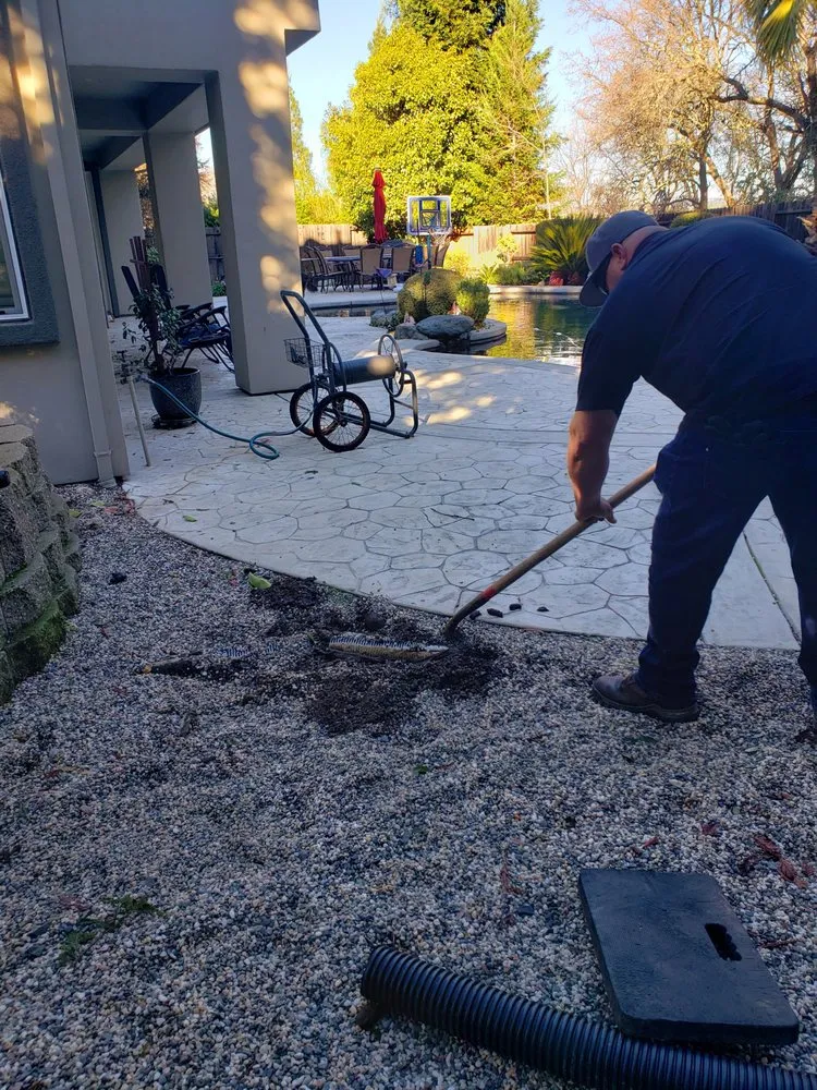 Professional yard maintenance in Fair Oaks, CA by Brads Landscaping & Irrigation