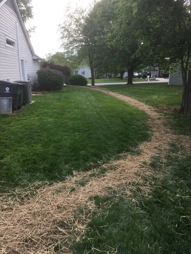 Professional garden landscaping near you in Browns Summit, NC by Brad's Lawn Service