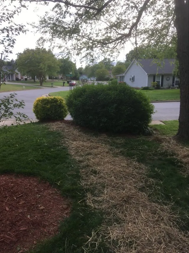 Local landscape design experts serving Browns Summit, NC - Brad's Lawn Service