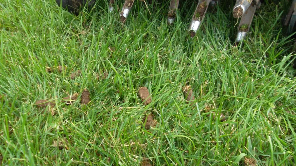 Affordable lawn mowing service for beautiful yards across Battle Creek, MI - Brad's Lawn Services