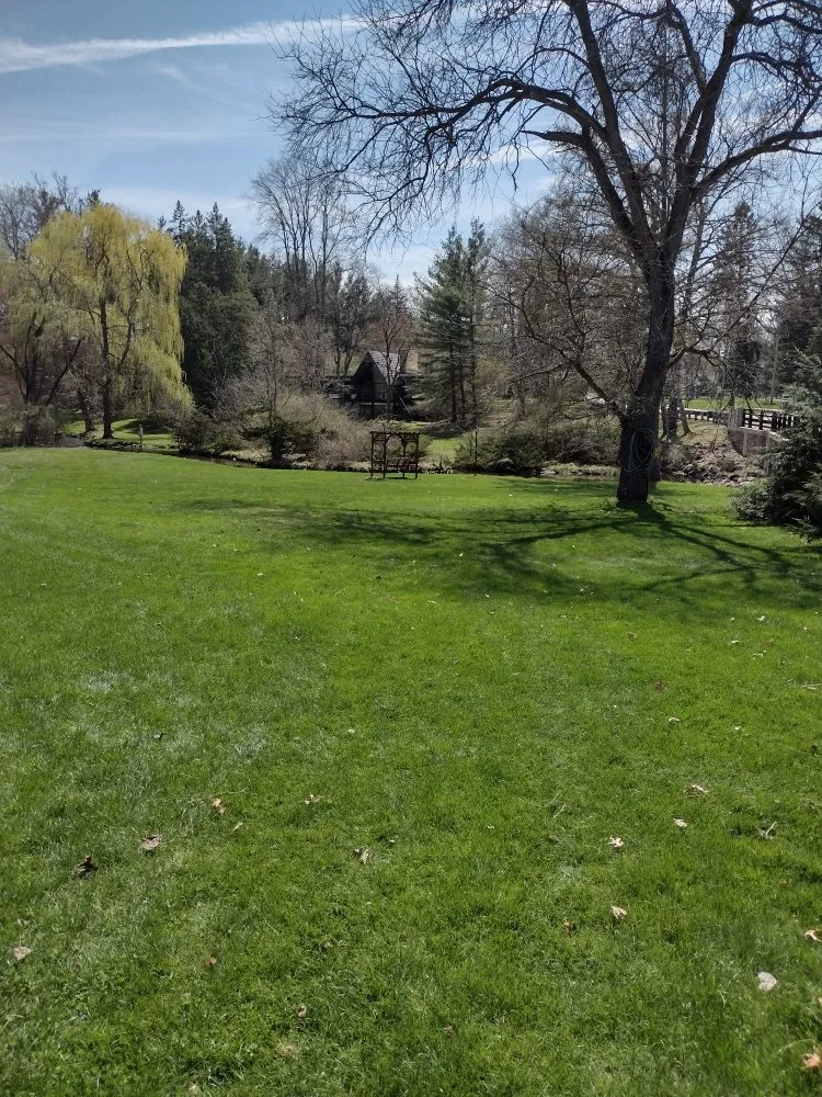 Professional yard cleanup service in Battle Creek, MI - Brad's Lawn Services