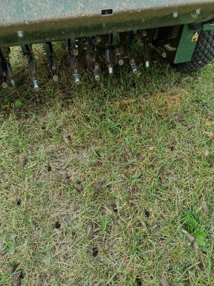 Reliable landscape installation for beautiful yards in Battle Creek, MI by Brad's Lawn Services