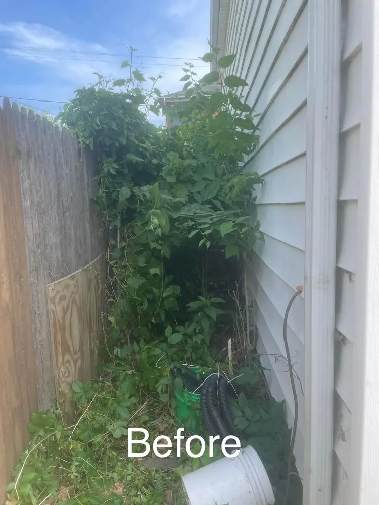 Trusted garden landscaping near you in Wellman, IA by Brad’s Lawnmowing services