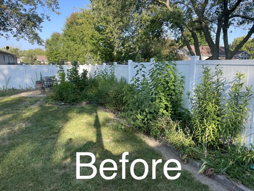 Local yard maintenance for outdoor upgrades in Wellman, IA by Brad’s Lawnmowing services