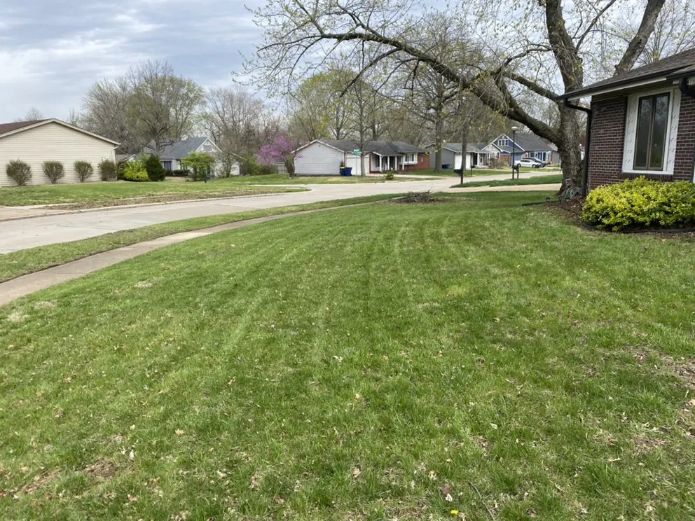 Professional yard cleanup service with custom design across Maryland Heights, MO - Brads Lawns Floors And More