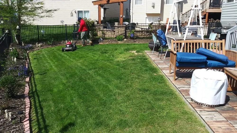 Affordable yard cleanup service in Maryland Heights, MO by Brads Lawns Floors And More
