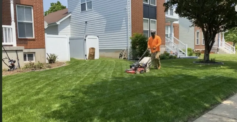 Trusted landscape installation in Maryland Heights, MO - Brads Lawns Floors And More