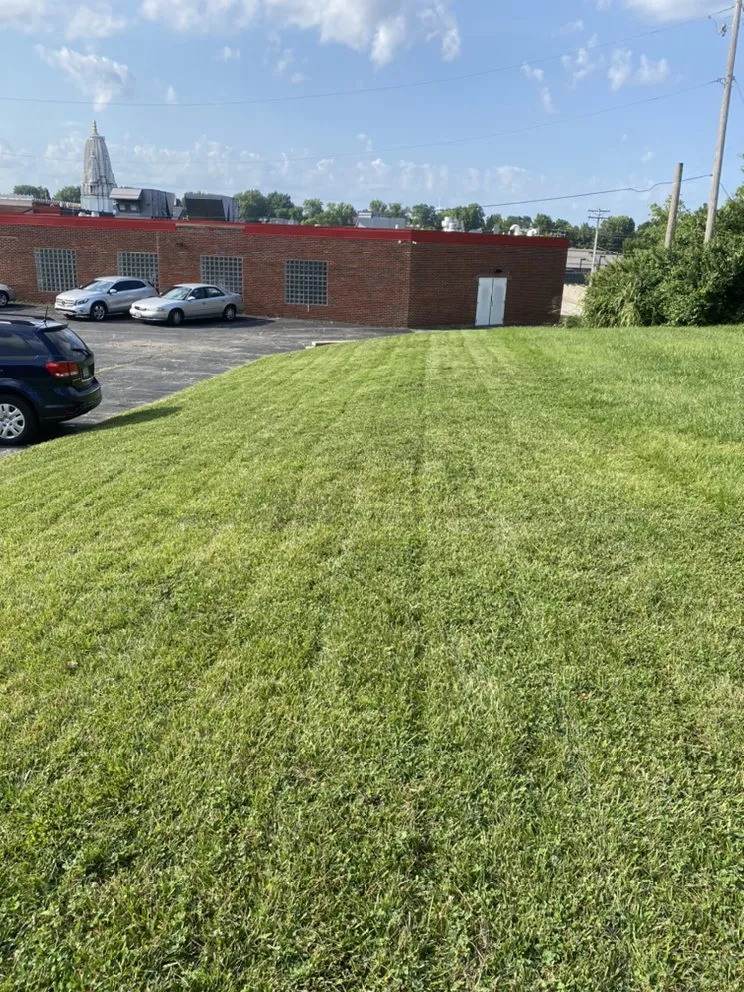 Professional yard cleanup service in Maryland Heights, MO by Brads Lawns Floors And More