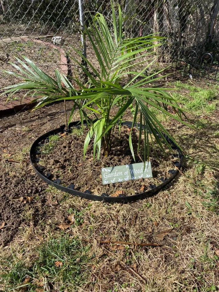 Custom outdoor landscaping in Maryland Heights, MO - Brads Lawns Floors And More