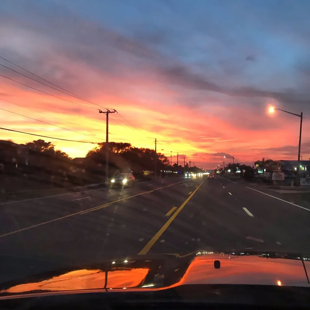 Affordable landscape installation in Melbourne, FL by Brads Lawns