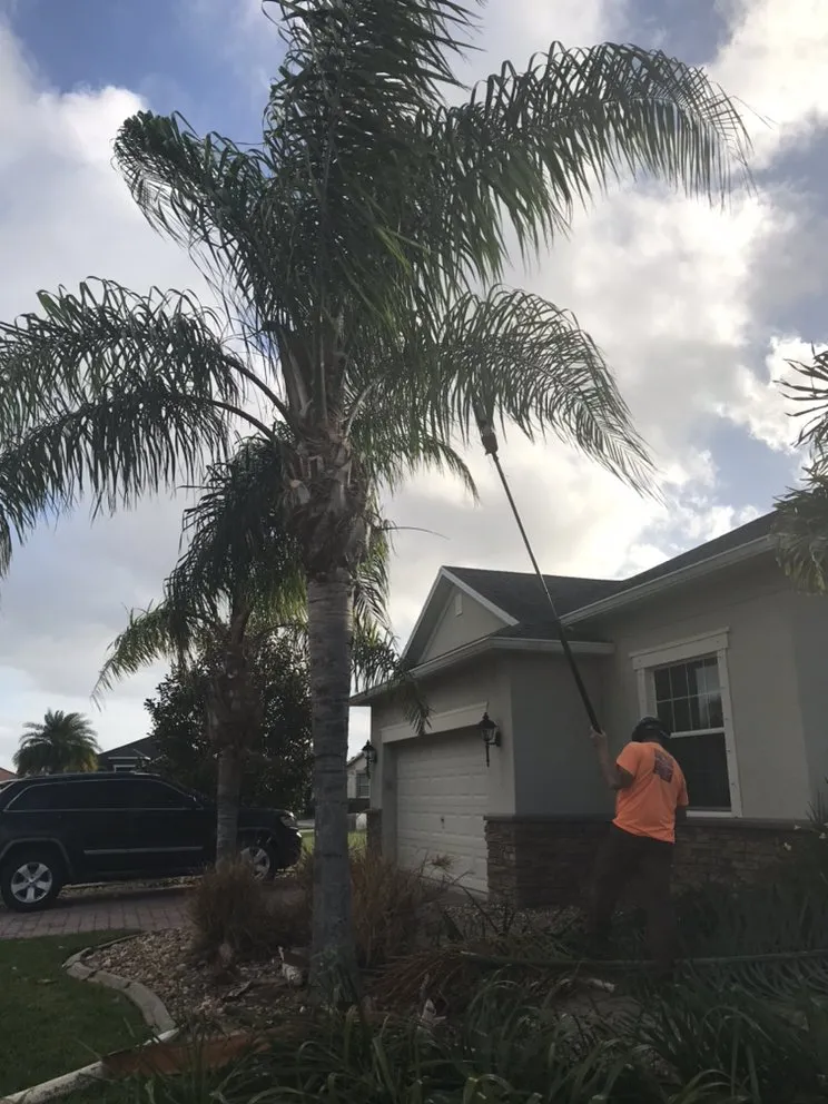 Affordable landscaping services with custom design across Melbourne, FL - Brads Lawns