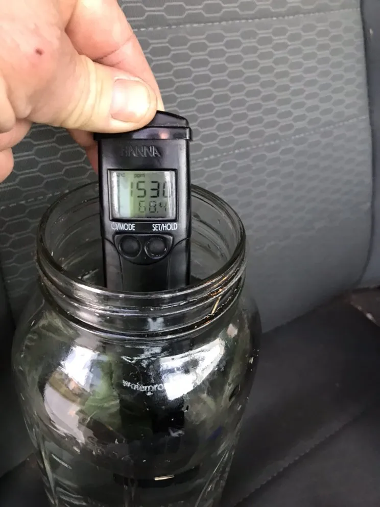 Top-rated landscape installation in Melbourne, FL - Brads Lawns