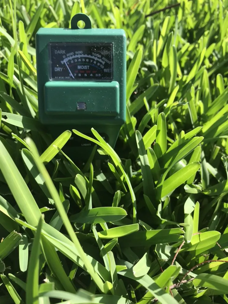 Top-rated outdoor landscaping near you across Melbourne, FL - Brads Lawns