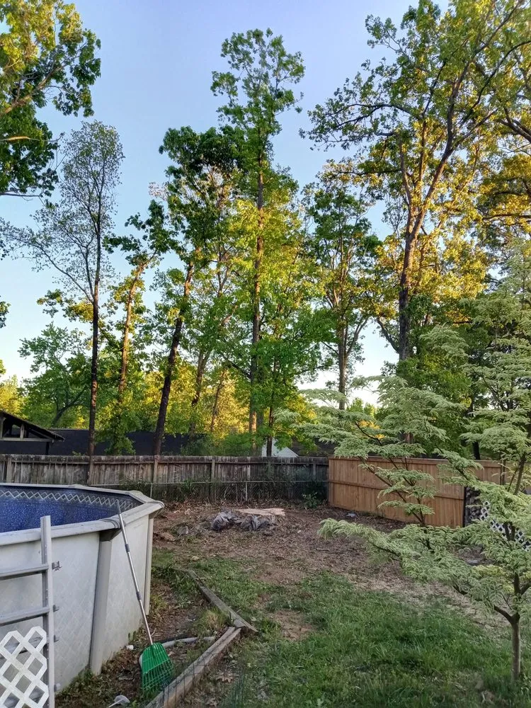 Expert lawn care service experts serving Piedmont, SC - Brad's Tree Care