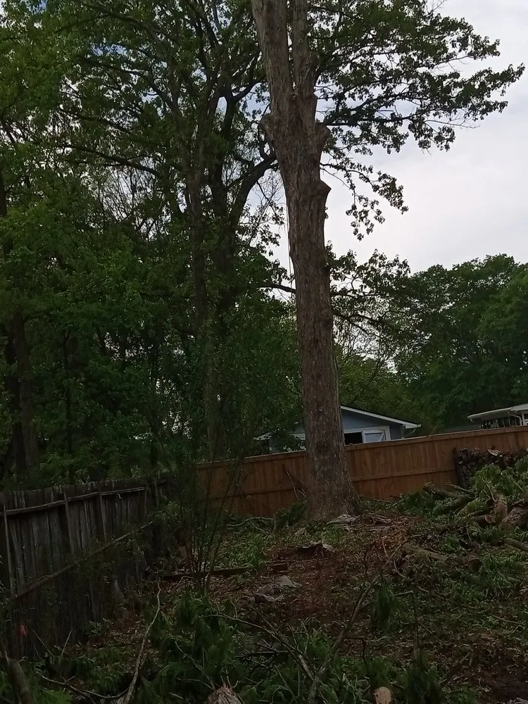 Affordable landscape installation near you across Piedmont, SC - Brad's Tree Care