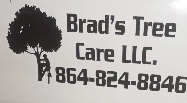 Top-rated yard cleanup service experts serving Piedmont, SC - Brad's Tree Care