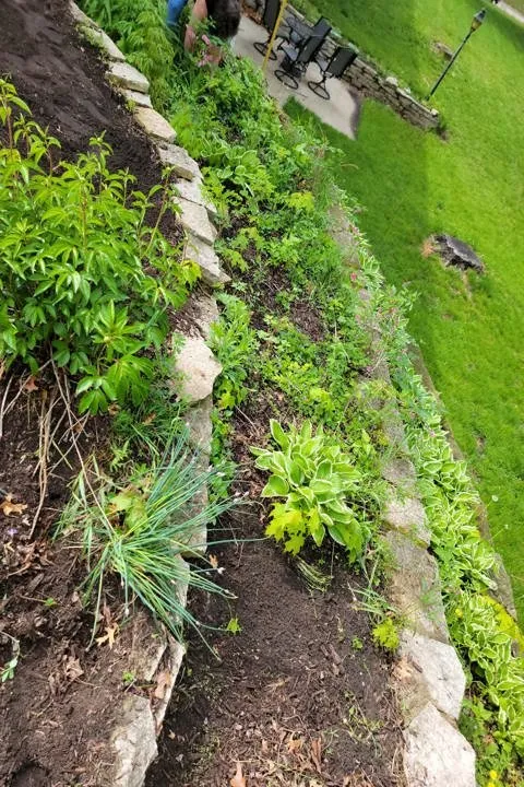 Custom landscape design in Arlington, WI by Brad’s Yard Services