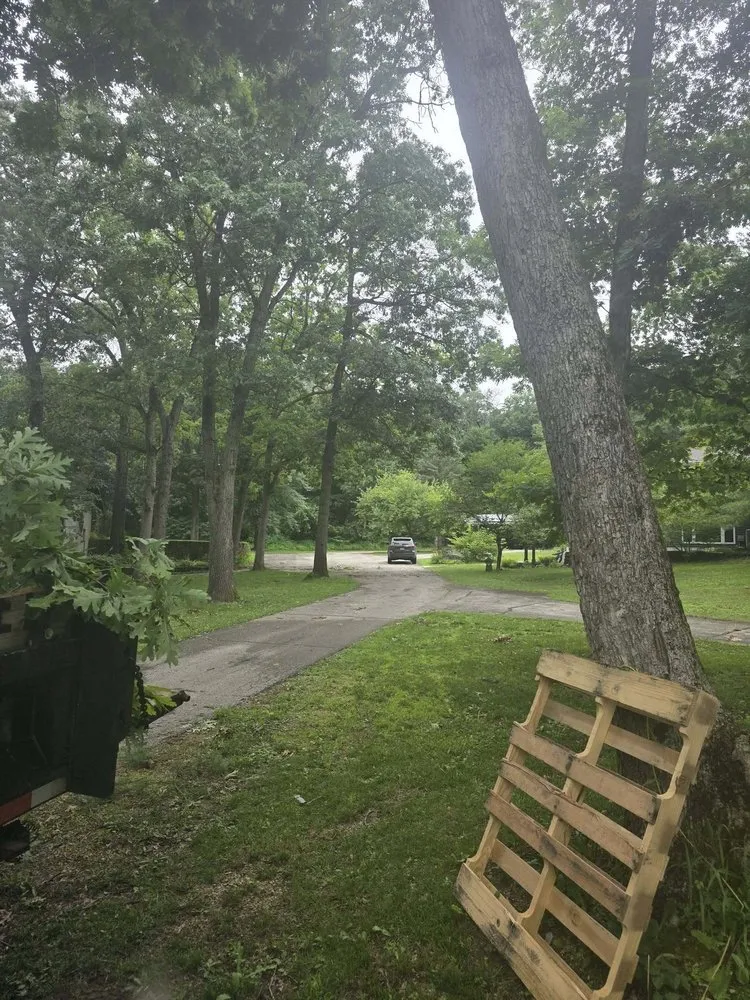 Reliable yard cleanup service experts serving Arlington, WI - Brad’s Yard Services