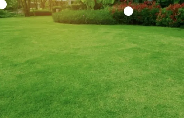 Expert yard cleanup service in Geneva, OH - Bradshaw Cut