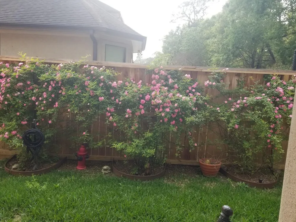 Affordable outdoor landscaping in Deer Park, TX - Bradshaw Landscaping